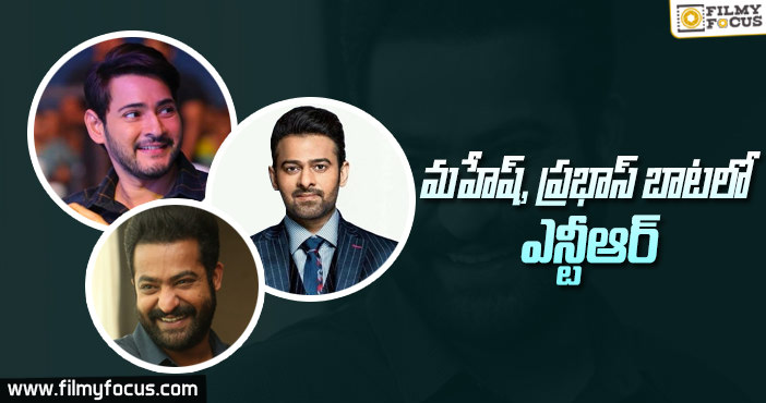 మల్టీ ఫ్లెక్స్ వ్యాపారంలోకి ఎన్టీఆర్!