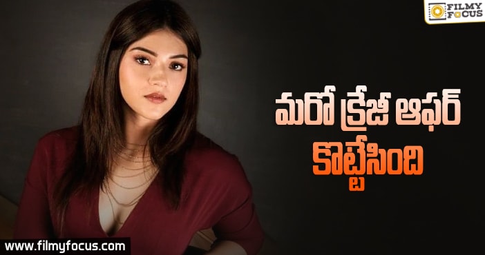 యువ హీరో సరసన మెహ్రీన్?