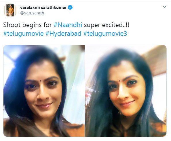 Varalaxmi Sarathkumar in Alari Naresh Movie