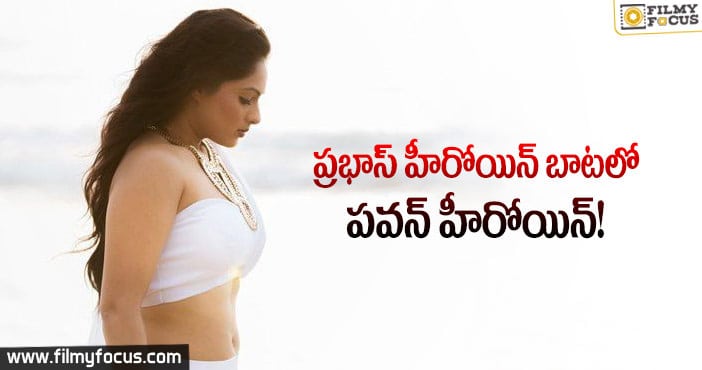 సినిమాలకు స్వస్తిపలికిన కొమరంపులి భామ నికిషా పటేల్