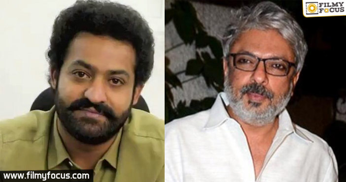 Jr NTR Planning With A Movie Sanjay Leela Bhansali1