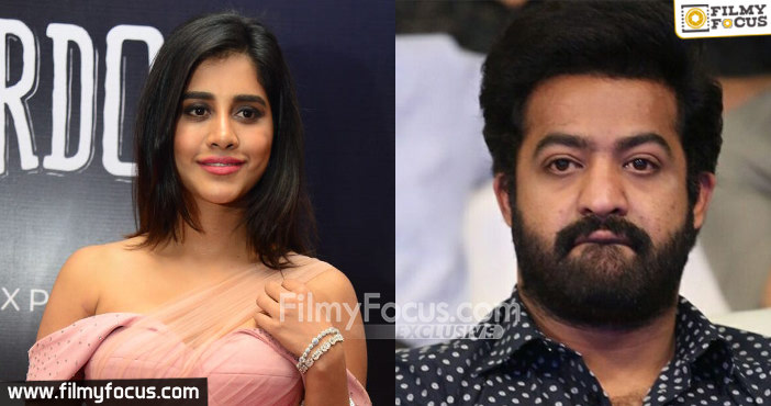 Nabha Natesh bags NTR Trivikram movie offer1