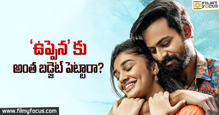 బడ్జెట్ వల్లే ఓటిటి ఆఫర్ ను రిజెక్ట్ చేసారా ?