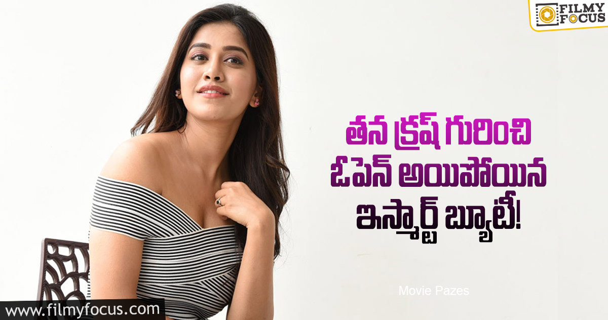 ఆ స్టార్ హీరోకి ఎప్పుడో పడిపోయాను : నభా నటేష్