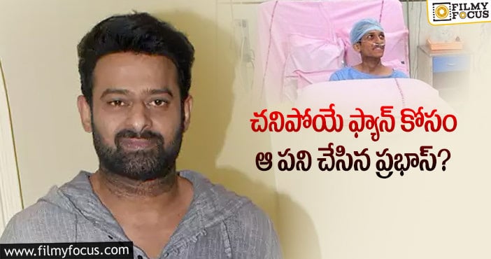 Prabhas: ప్రభాస్ వల్ల బ్రతికిన ఫ్యాన్.. ఏకంగా 20 రోజులు..?