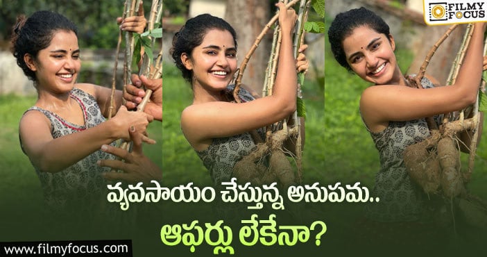 Anupama Parameswaran: ఈ ఏడాదైనా అనుపమకు కలిసొస్తుందా..?