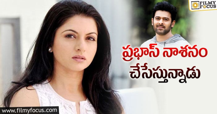 Bhagyashree, Prabhas: ప్రభాస్ పై భాగ్యశ్రీ షాకింగ్ కామెంట్లు!