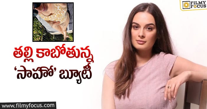 Evelyn Sharma: గుడ్ న్యూస్ చెప్పిన బాలీవుడ్ భామ!