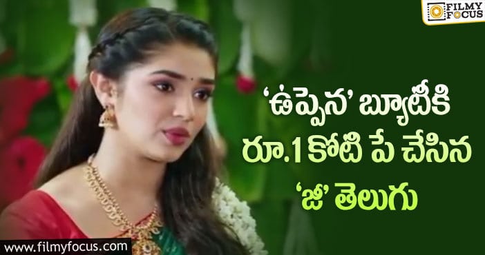 Krithi Shetty: బుల్లితెర పై ఎంట్రీ ఇవ్వబోతున్న కృతి శెట్టి..!