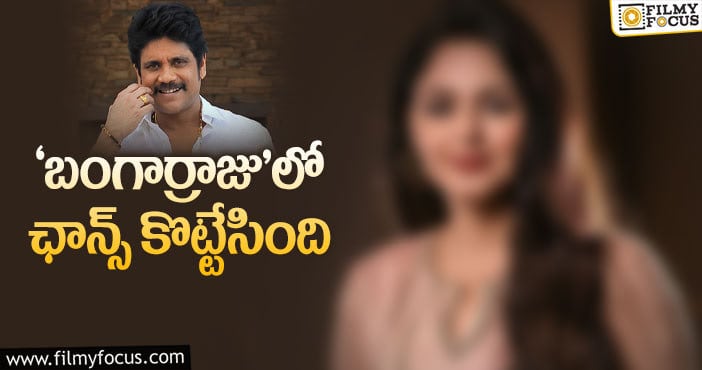 Nagarjuna: నాగార్జున సినిమాలో బిగ్ బాస్ బ్యూటీ!