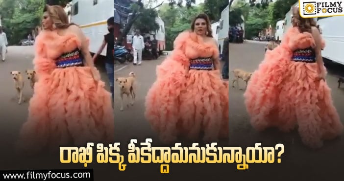 Rakhi Sawant: బోల్డ్‌ నటికి బోలెడు చుక్కలు చూపించిన శునకాలు!