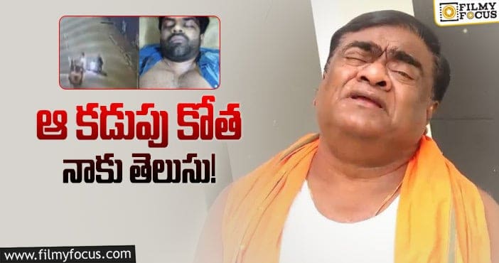 Babu Mohan, Sai Dharam Tej: సాయితేజ్ ప్రమాదంపై బాబుమోహన్ ఏమన్నారంటే?