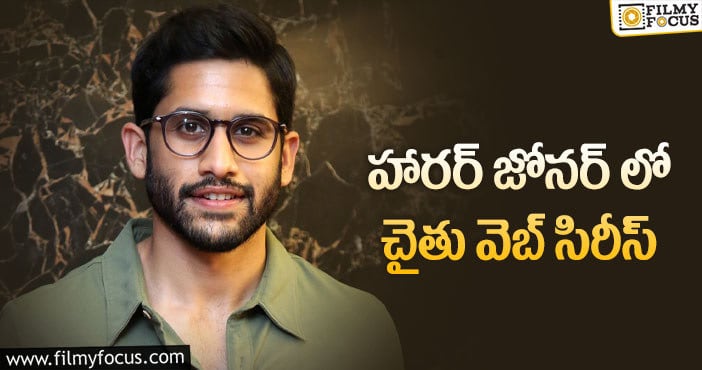 Naga Chaitanya: నాగచైతన్యకు హారర్ కాన్సెప్ట్ కలిసొస్తుందా..?