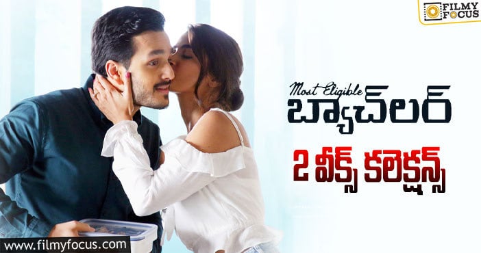 Most Eligible Bachelor Collections: సెకండ్ వీక్ కూడా ఓకే అనిపించిన బ్యాచిలర్..!