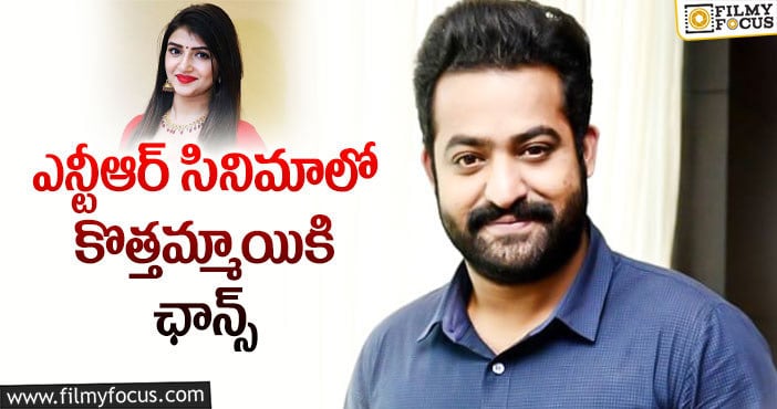 Sree Leela, Jr NTR: ఎన్టీఆర్‌ కోసం పెళ్లిసందడి భామ..!