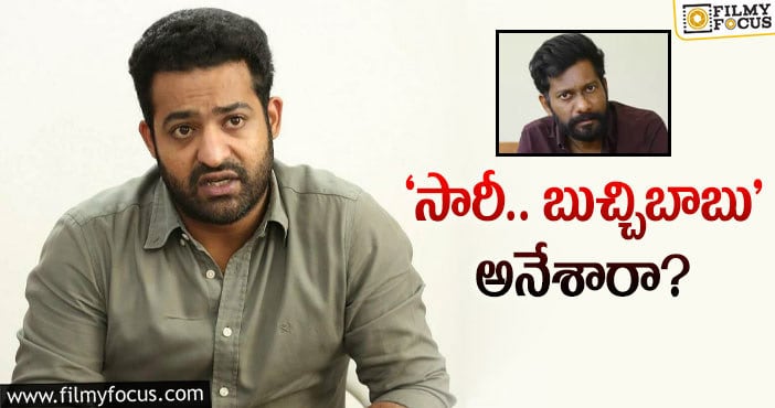 Buchi Babu, NTR: ఎన్టీఆర్‌ మూవీ లైనప్‌ ఇదే.. నో డౌట్!