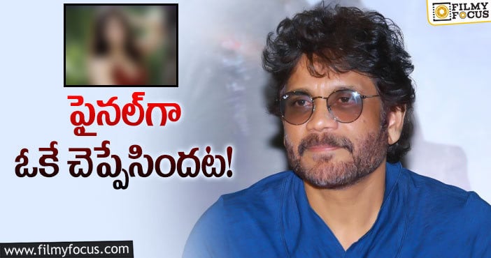 Nagarjuna: నాగ్‌ సరసన సీనియర్‌ అనుకున్నారు… కాదు కుర్ర నాయికే!