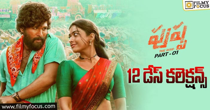 Pushpa Collections: వరుసగా రెండోసారి రూ.125 కోట్లు.. ఆ టాకేంటి ఈ కలెక్షన్లేంటి..!