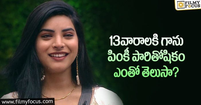 Priyanka Singh Remuneration: వామ్మో ప్రియాంక సింగ్ పారితోషికం అంత ఎక్కువా..!