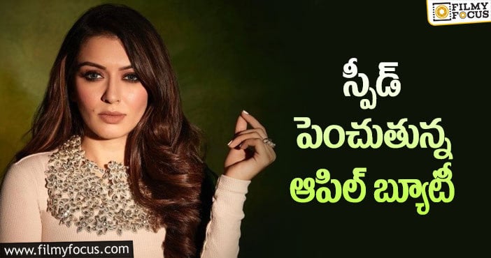 Hansika: ఈ ఏడాది 9 సినిమాలులతో వస్తా: హన్సిక