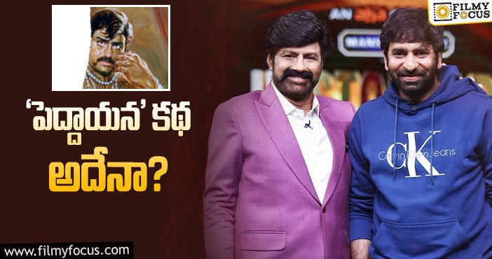 Balakrishna, Gopichand Malineni: బాలయ్య కొత్త సినిమా కథ లీకులు నిజమేనా!