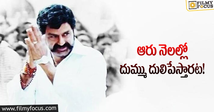 Balayya Babu: అలాంటి పాత్రకు బాలయ్య ఓకే చెప్పేశారా!