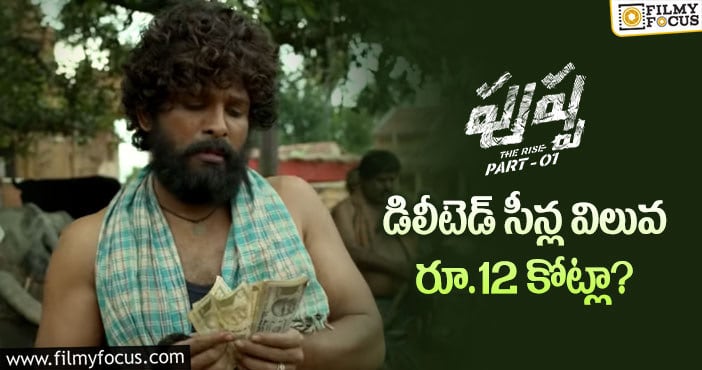 Pushpa Deleted Scene: సుకుమార్… ఈ వేస్ట్ చాల కాస్ట్లీ సార్..!