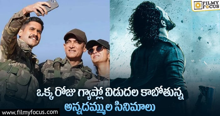 Naga Chaitanya, Akhil: నాగ చైతన్య, అఖిల్ సినిమాలు ఒక్కరోజు గ్యాప్లో రిలీజ్ అవ్వబోతున్నాయట..!