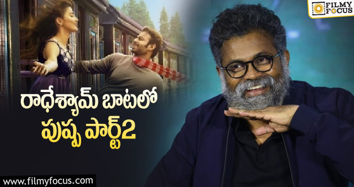 Sukumar: పుష్ప2 విషయంలో సుక్కూ అలా చేయబోతున్నారా?