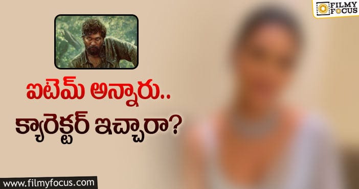 Pushpa 2 Movie: ‘పుష్ప 2’లో ఆ హీరోయిన్‌ను తీసుకున్నారా..!