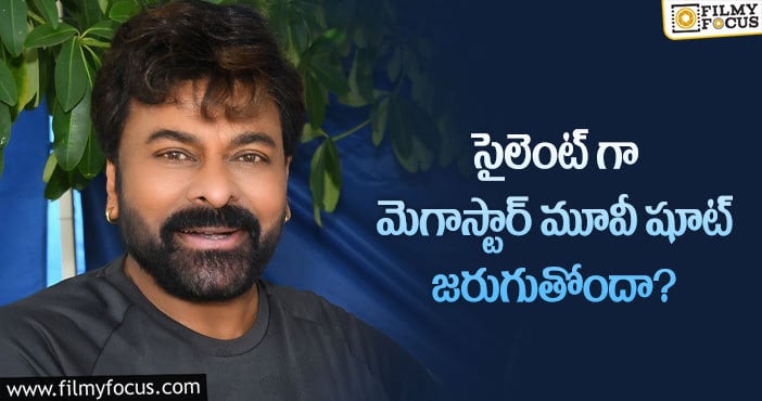 Chiranjeevi: వాల్తేరు వీరయ్య మూవీకి అవే హైలెట్ కానున్నాయా?