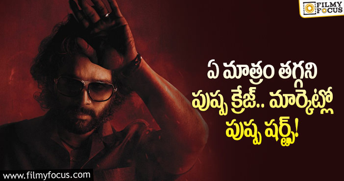 Allu Arjun: సినిమా విడుదలై ఆరు నెలలైనా తగ్గని పుష్ప క్రేజ్!