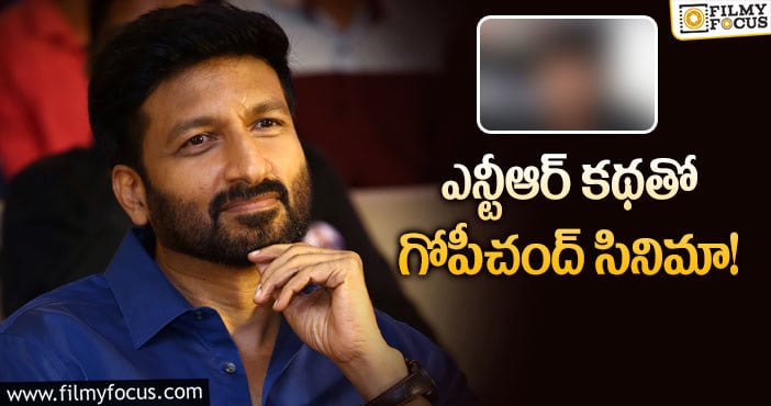 Jr NTR, Gopichand: గోపిచంద్ తో మాస్ డైరెక్టర్ ప్లాన్!