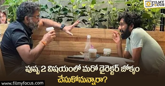 Sukumar, Buchi Babu: పుష్ప2 కోసం మరో డైరెక్టర్ పని చేస్తున్నారా?