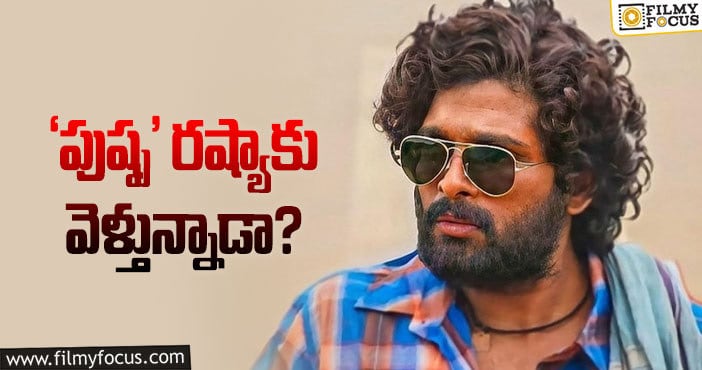 Pushpa: ఇంటర్నేషనల్‌  స్టార్స్‌ని రంగంలోకి దింపుతున్నారా?