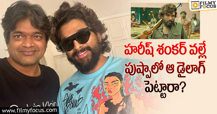 Allu Arjun, Harish Shankar: పుష్ప అంటే ఫ్లవర్ అనుకున్నావా డైలాగ్ వెనుక ఇంత స్టోరీ ఉందా?