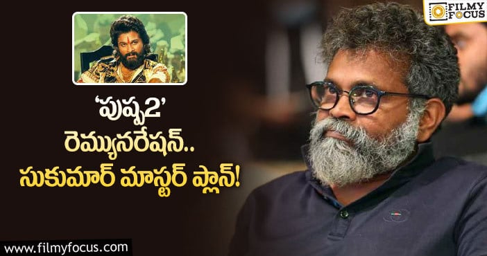 Sukumar: ‘పుష్ప2’.. సుకుమార్ కి ‘నో’ రెమ్యునరేషన్!