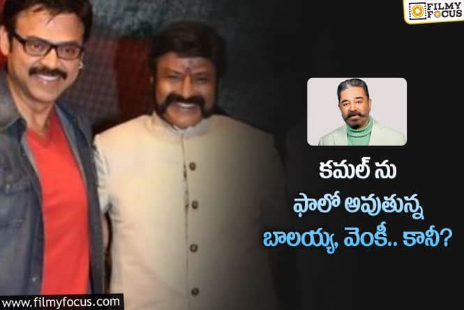 Balakrishna , Venkatesh: ఆ ఫార్ములాతో బాలయ్య, వెంకీలకు సక్సెస్ దక్కుతుందా?