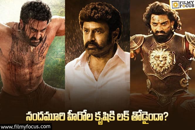 Nandamuri Heroes: వరుస విజయాలతో ఫ్యాన్స్ ఆనందానికి అవధులు లేవుగా!