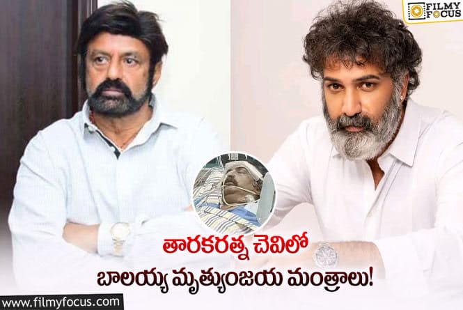 Balakrishna: అన్న కొడుకు కోసం బాలయ్య మరోసారి ప్రత్యేక పూజలు