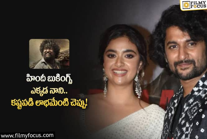 Hero Nani: హిందీపై దృష్టి పెట్టు నాని.. అక్కడ జాగ్రత్త పడాల్సిందే!