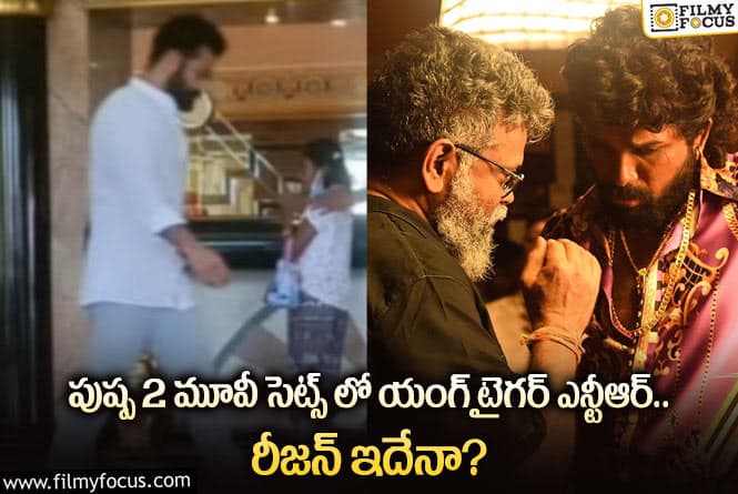 Jr NTR: తారక్ పుష్ప2 సెట్స్ లో కనిపించడానికి కారణం ఇదేనా?