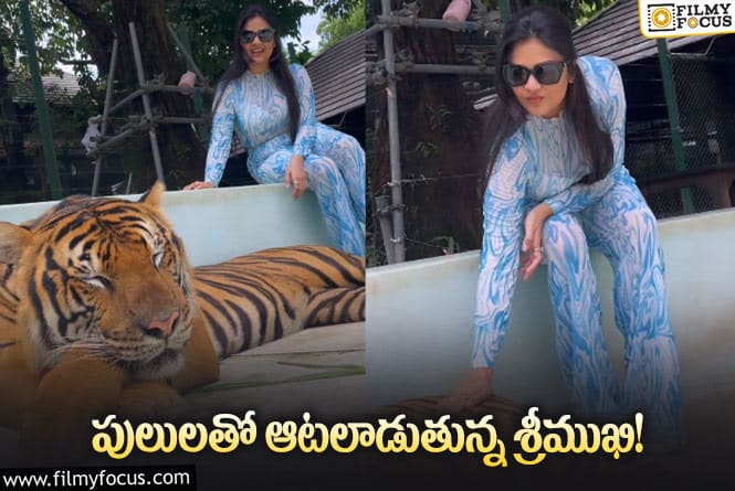 Sreemukhi: వామ్మో…పులులతో ఆటలేంటి శ్రీముఖి.. తేడా కొడితే అంతే?