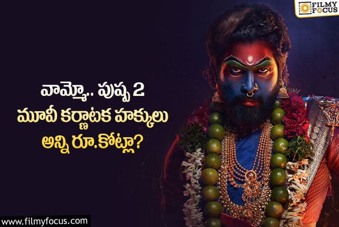 Pushpa 2: పుష్ప2  మూవీ హక్కులకు ఈ రేంజ్ లో డిమాండ్ ఉందా?