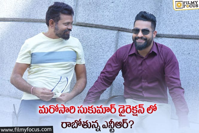 Jr NTR,Sukumar: : సుకుమార్ డైరెక్షన్ లో ఎన్టీఆర్… మరో హిట్ పడినట్లే,?