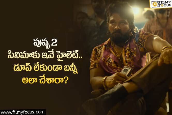 Pushpa2: పుష్ప2 సినిమాకు ఆ సీన్లు హైలెట్ కానున్నాయా.. ఏం జరిగిందంటే?