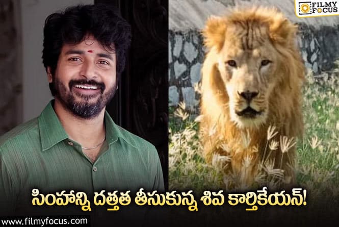 Sivakarthikeyan: సింహాన్ని దత్తత తీసుకొని జంతువుల పట్ల ప్రేమ చాటుకున్న హీరో?