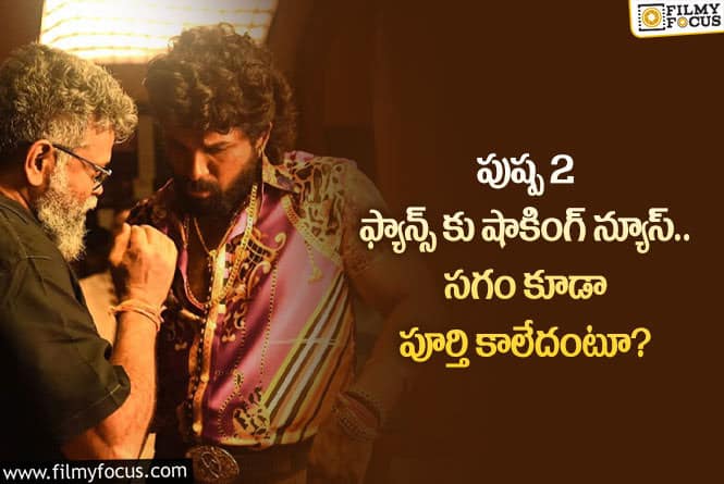 Pushpa2: పుష్ప2 అప్పటికి కూడా కష్టమేనా.. జక్కన్నను మించి సుకుమార్ తీస్తున్నారా?