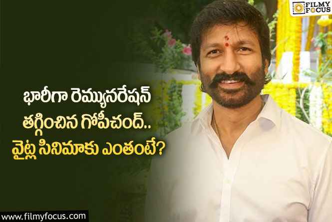 Gopichand: రామబాణం దెబ్బ గట్టిగా తగిలిందిగా.. గోపీచంద్ పారితోషికం ఎంతంటే?