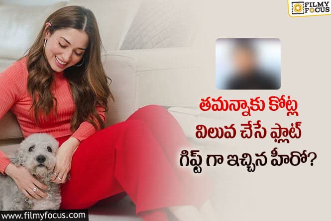 Tamanna: తమన్నా పై ప్రేమతో ఖరీదైన గిఫ్ట్ ఇచ్చిన నటుడు!